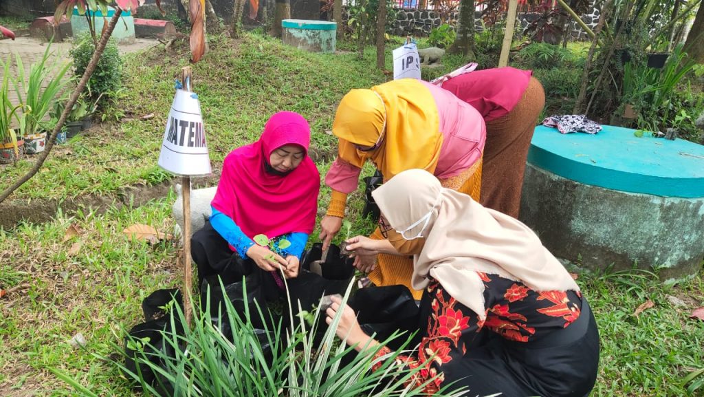 giat tanam Sayuran untuk tiap MAPEL